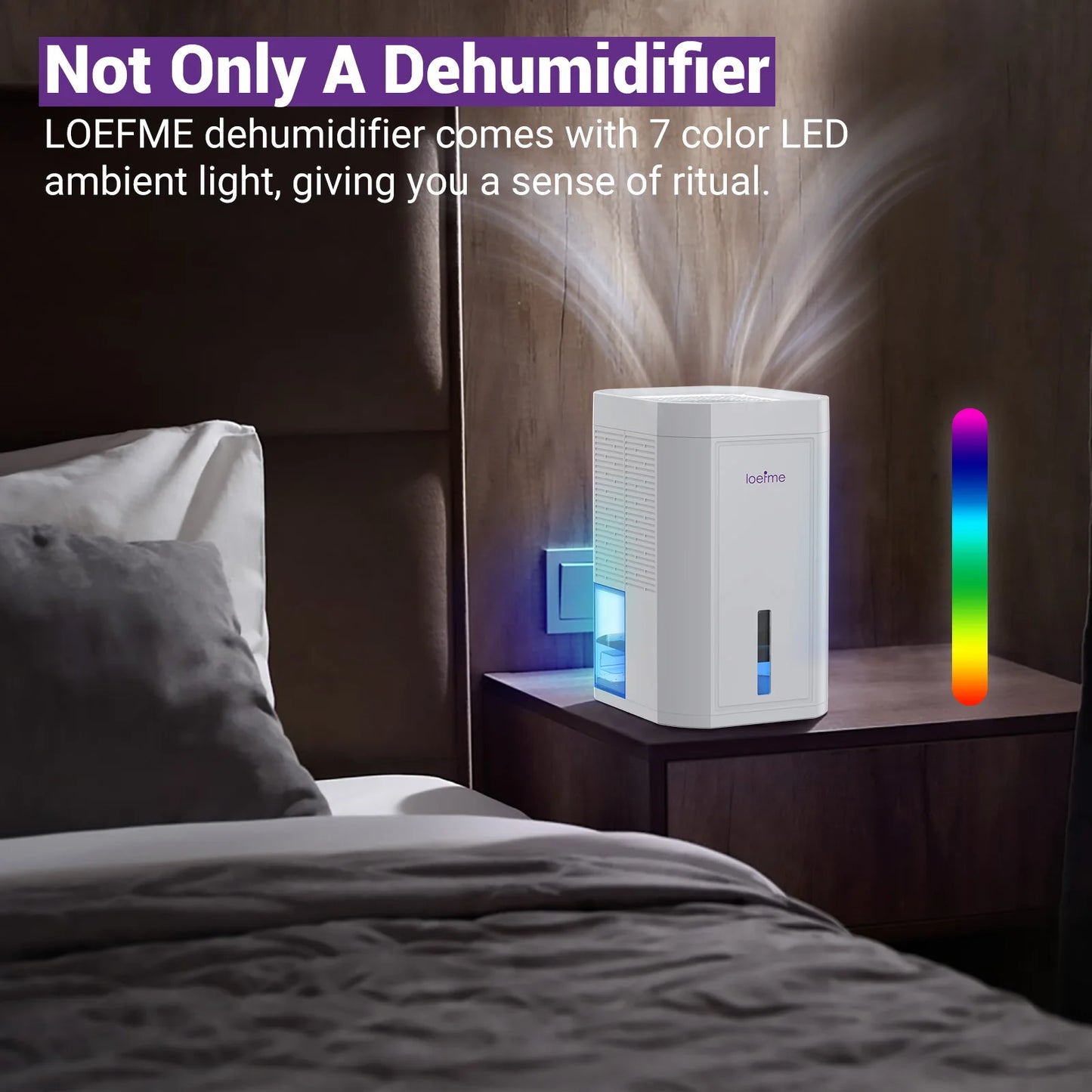 Electric Dehumidifier for Home Condensation Moisture with Timer Silent Low Noise 35dB Tank Capacity 1000ML