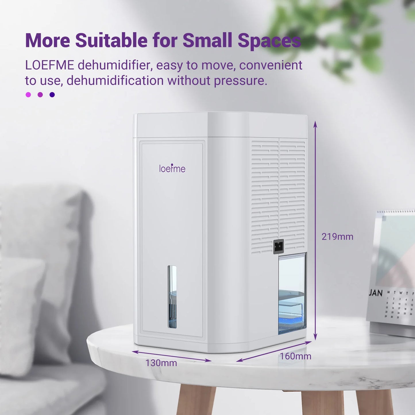 Electric Dehumidifier for Home Condensation Moisture with Timer Silent Low Noise 35dB Tank Capacity 1000ML